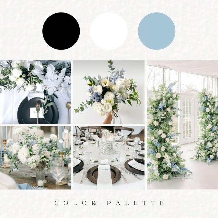Our color palette is black, white and light blue!
