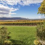 Woodinville Wine Country