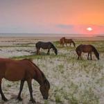 Crystal Coast Lady Cruises