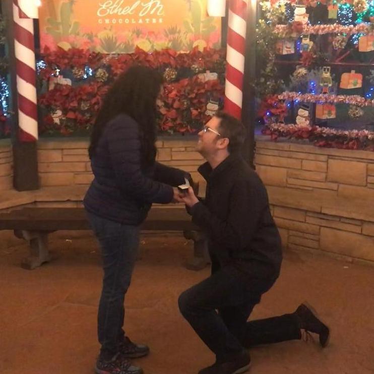 The proposal
