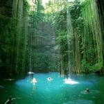 Xenotes