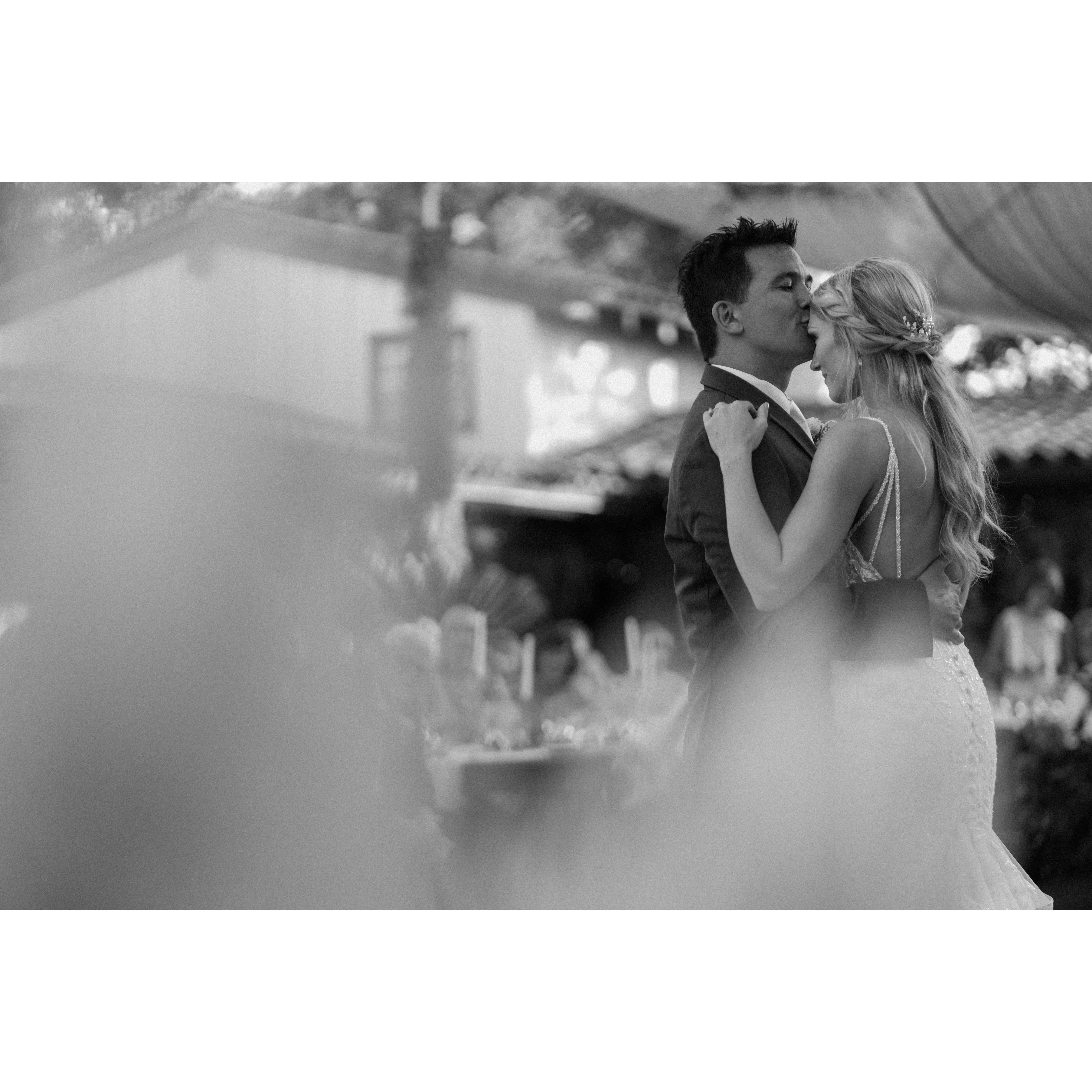 Our first dance as husband and wife. 

Song: "Can't Help Falling in Love" Cover by Kina Grannis 

Photographer: Sam Rae MUA Photo
