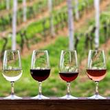 Europa Village Wineries & Resort