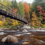 Lincoln Woods Trailhead