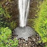 Na Ala Hele: Manoa Falls Trail