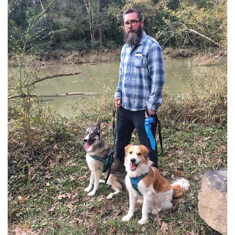 Reflection Riding walk with the pups!