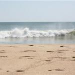 Long Point Beach