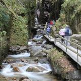 Explore Local Towns & Attractions