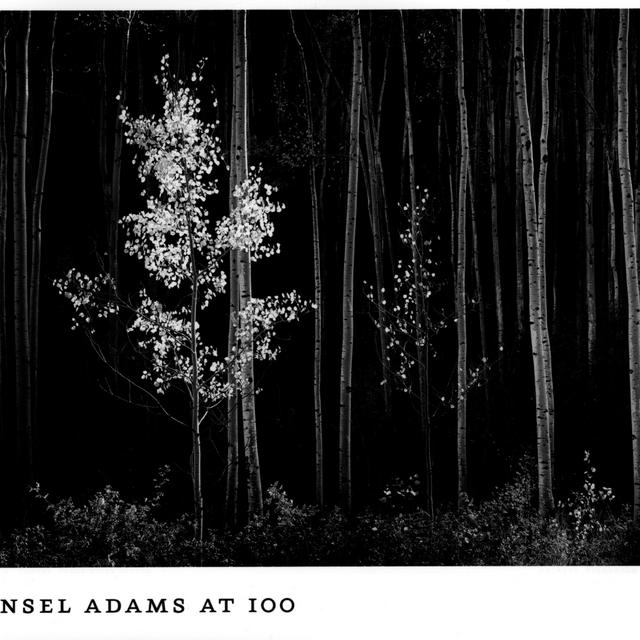 Ansel Adams at 100