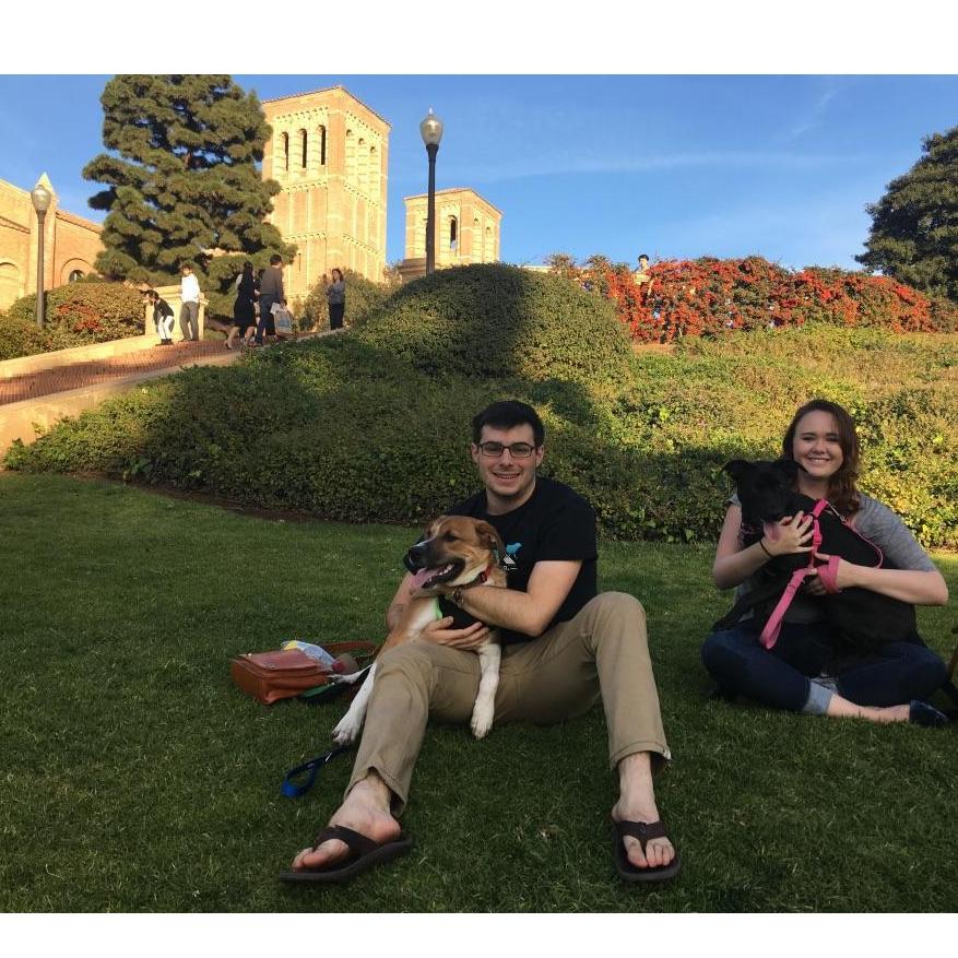 taking the puppies to visit UCLA