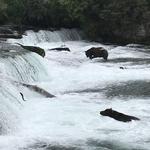 Katmai National Park and Preserve