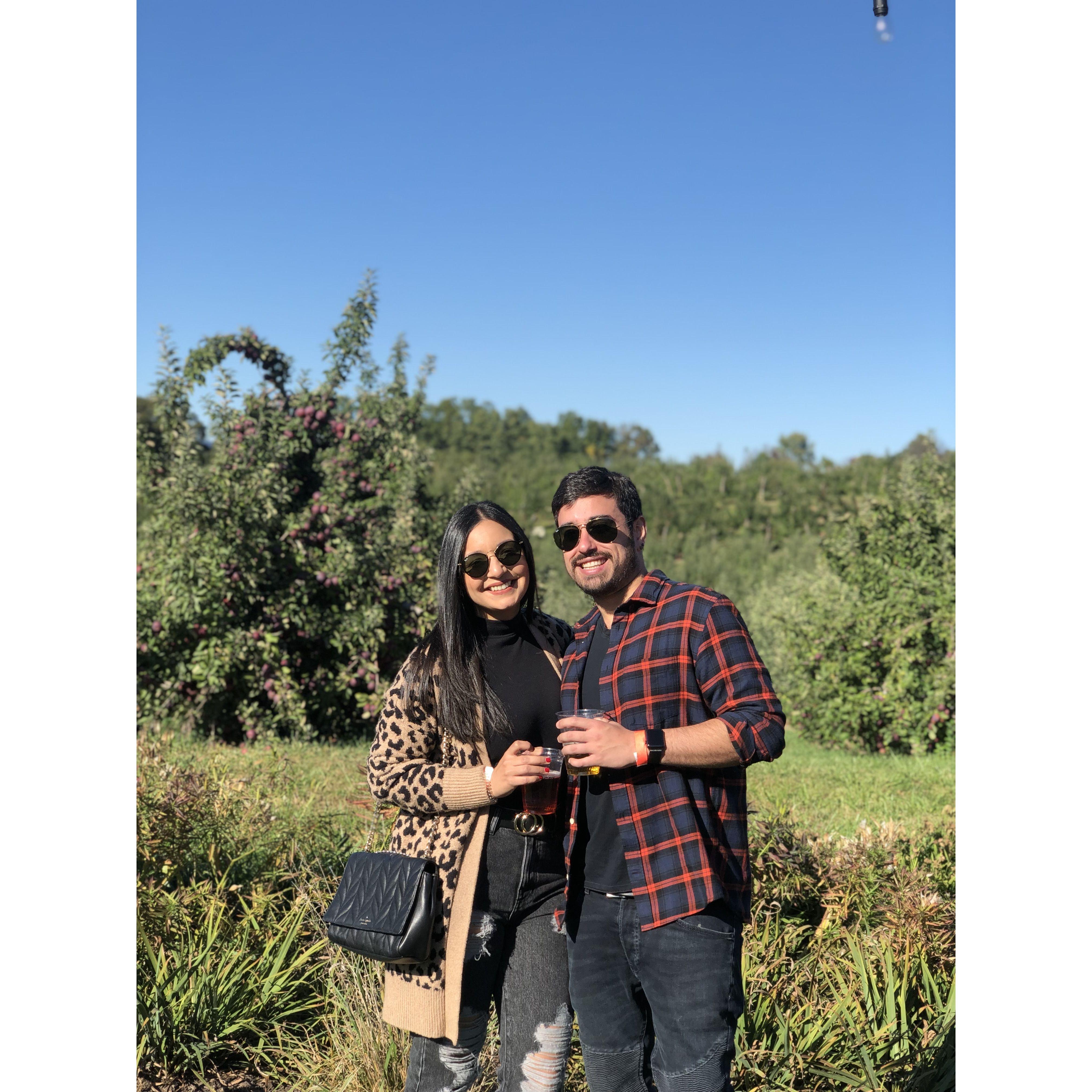 Angry Orchard 2019