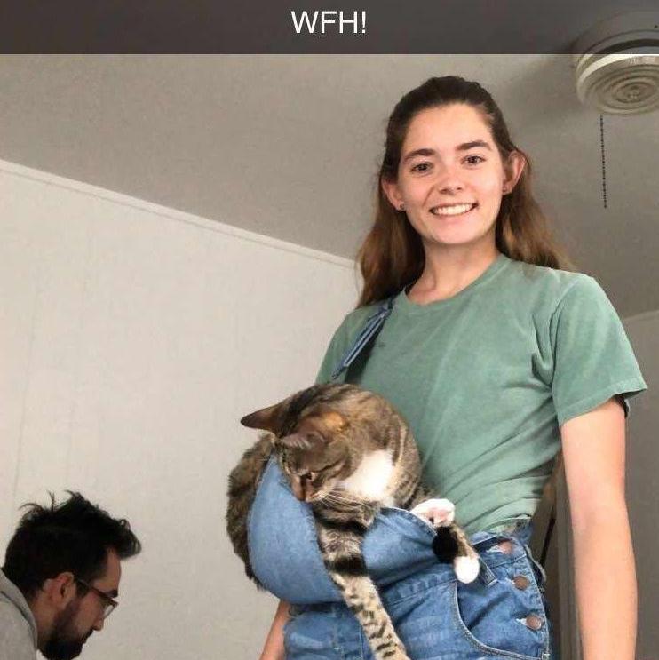 Staying sane during Work From Home