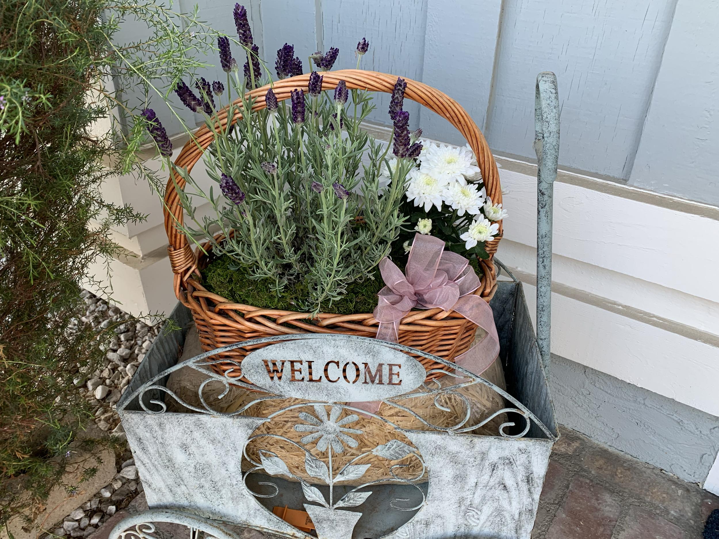 The Wedding Website of Kenneth Woodward and Laura Ponciano