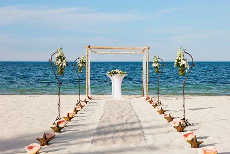 The Wedding Website of Jaclyn Victoria and Tyler Francis
