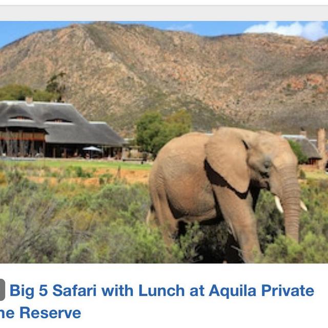 Safari Tour with Lunch