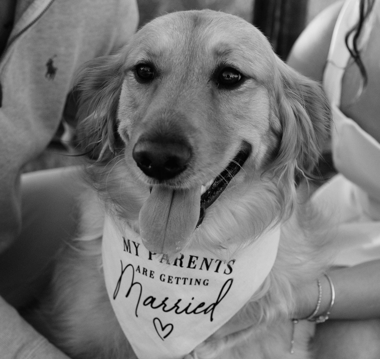 The Wedding Website of Sarah Chasen and Joshua Roof