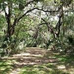Clay Island Trailhead
