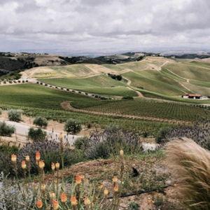 Paso Robles