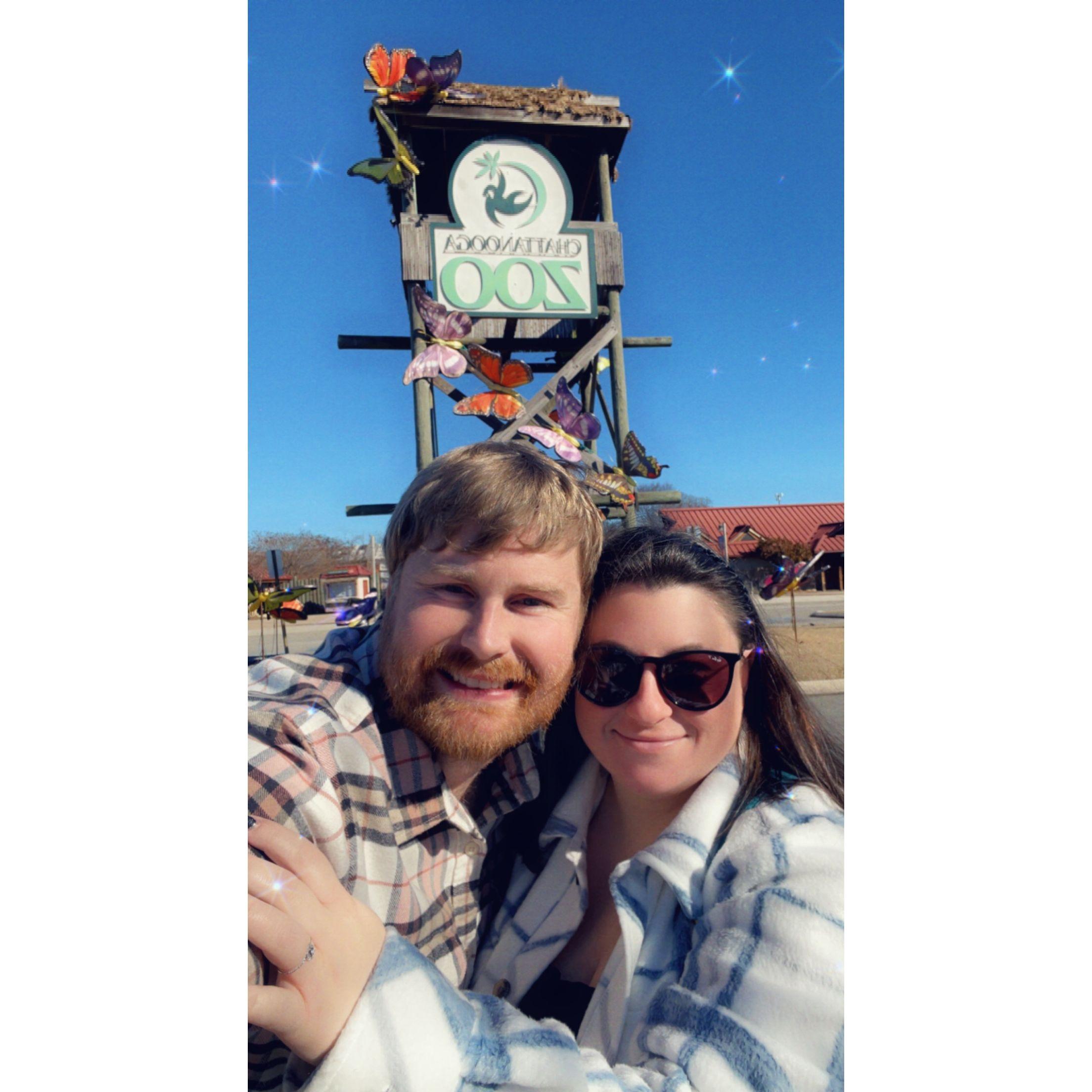 our trip to the Chattanooga Zoo