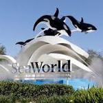 SeaWorld Orlando
