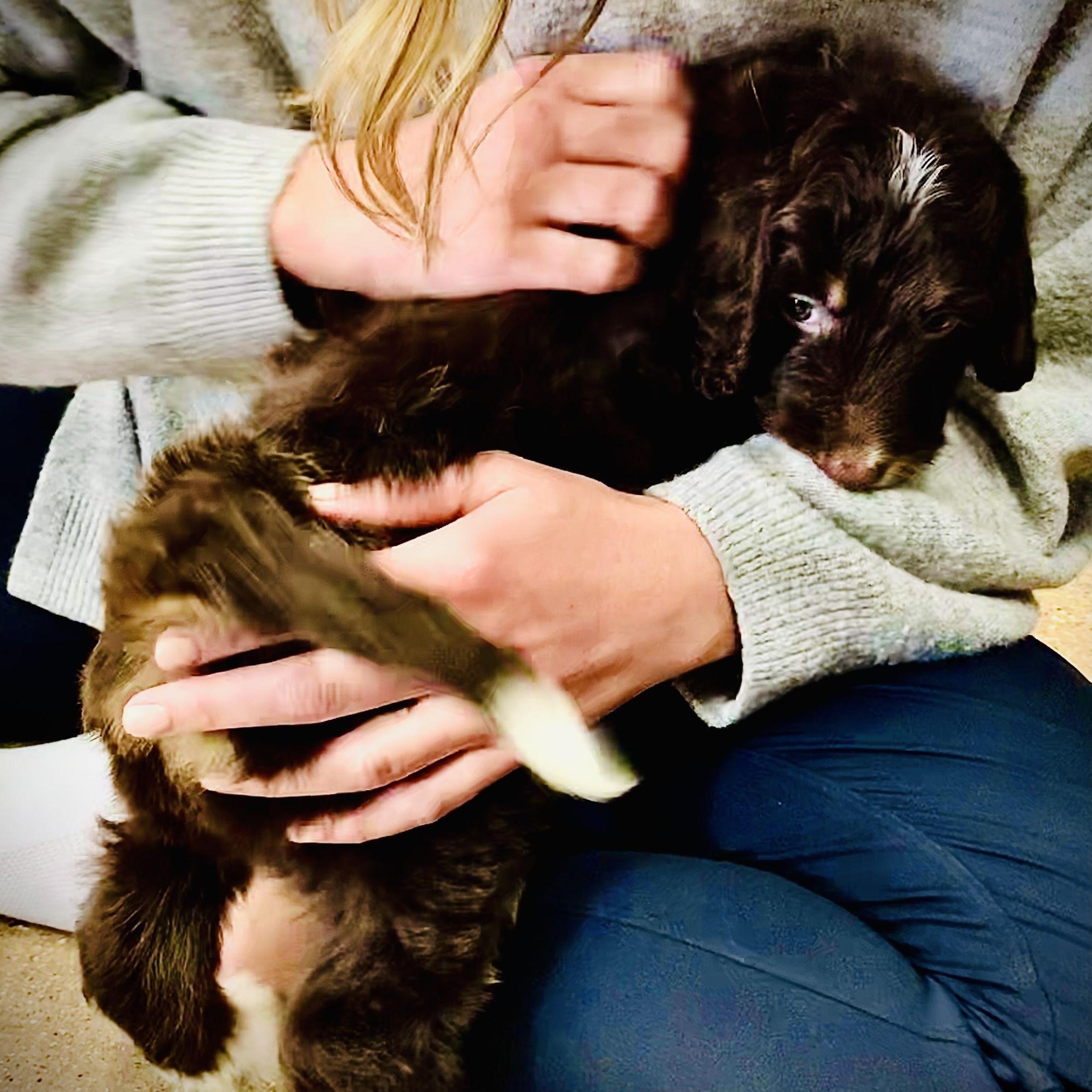 The day we became parents (sort of).