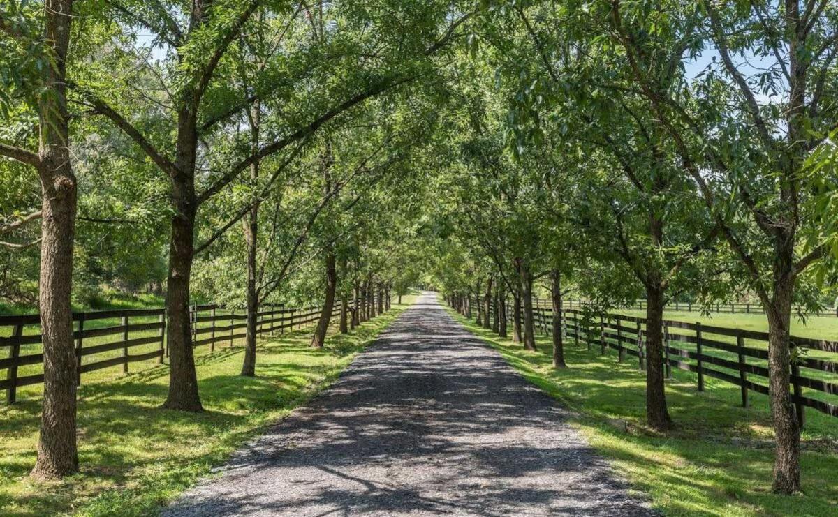 The Wedding Website of Lexie Dorcon and Quinn Zinobile