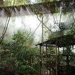 Monkeyland and Birds of Eden