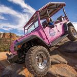 Pink Jeep Tours