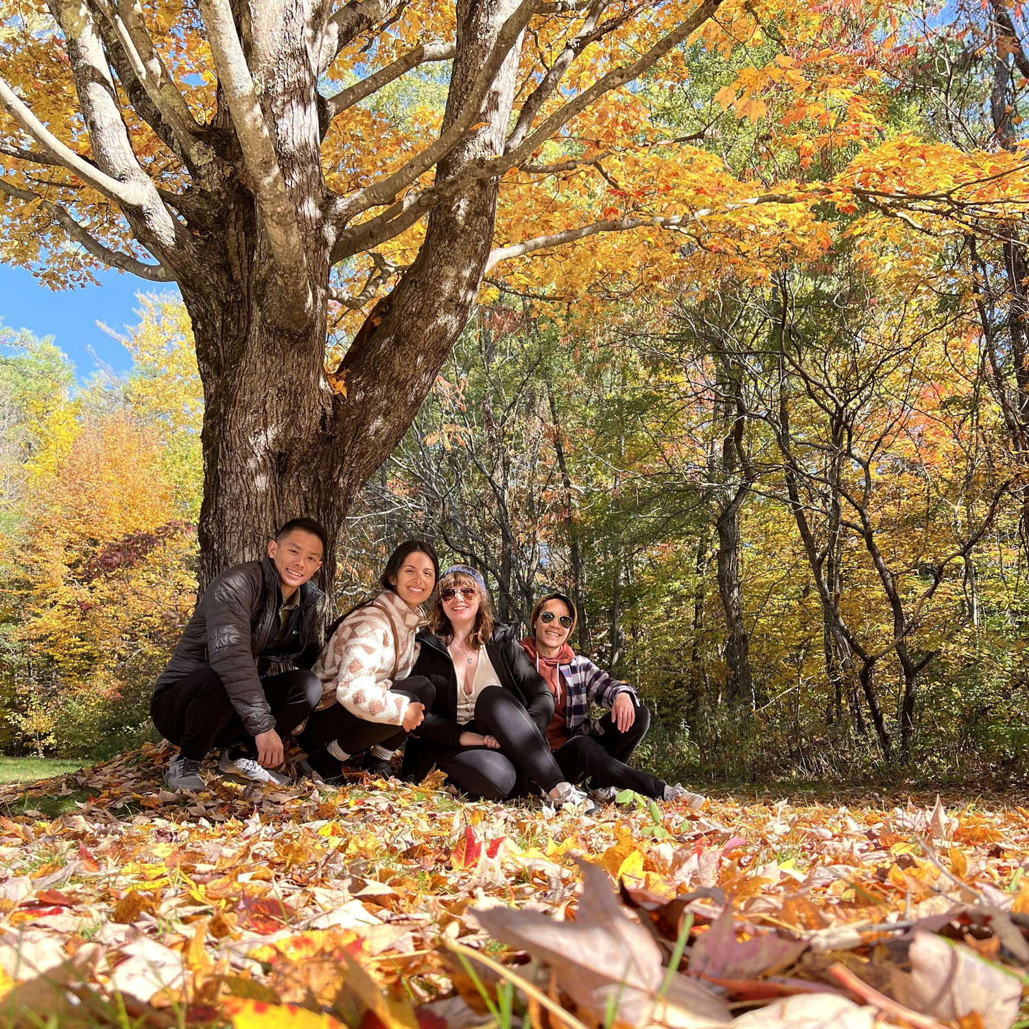 Fall with friends