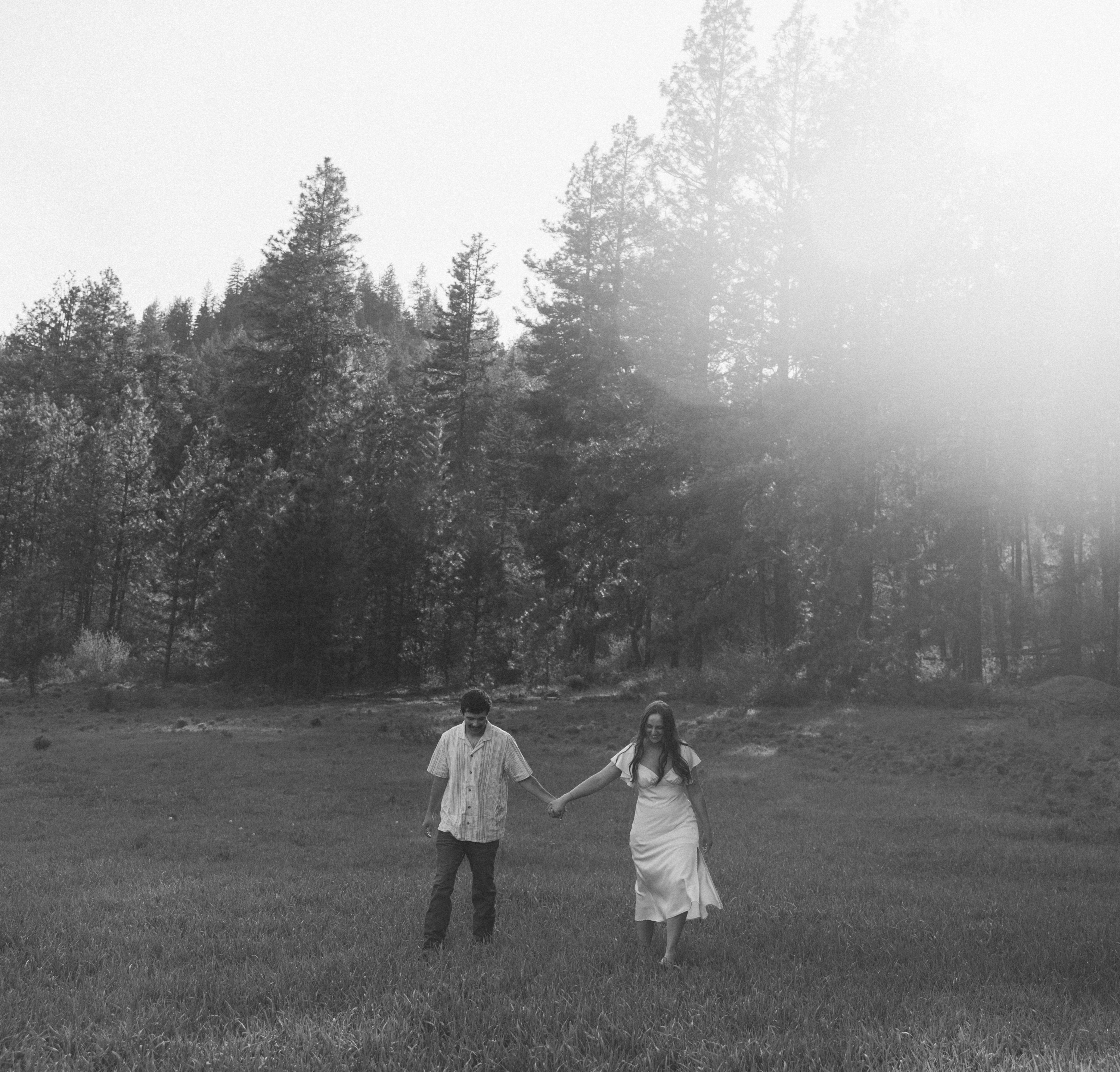 deae1bf7-533b-414c-a892-1861bce98165