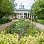 Daniel Stowe Botanical Garden