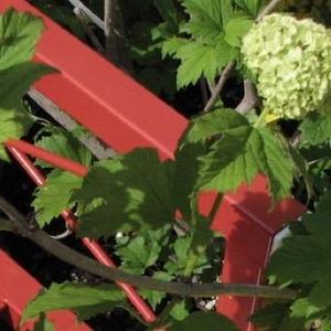 Portland Nursery Gift Cards