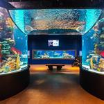 Electric City Aquarium & Reptile Den