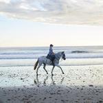 Horseback Riding