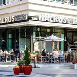 The Walrus Oyster & Ale House