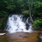Morgan Falls