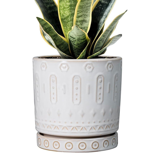 Eightpot Pot for Plants 6 Inch - Ceramic Planter for Indoor Plants Decorative Plant Pot with Drainage Holes and Saucer Outdoor Flower Pot Modern Succulent Pots for Office Desk Decor White