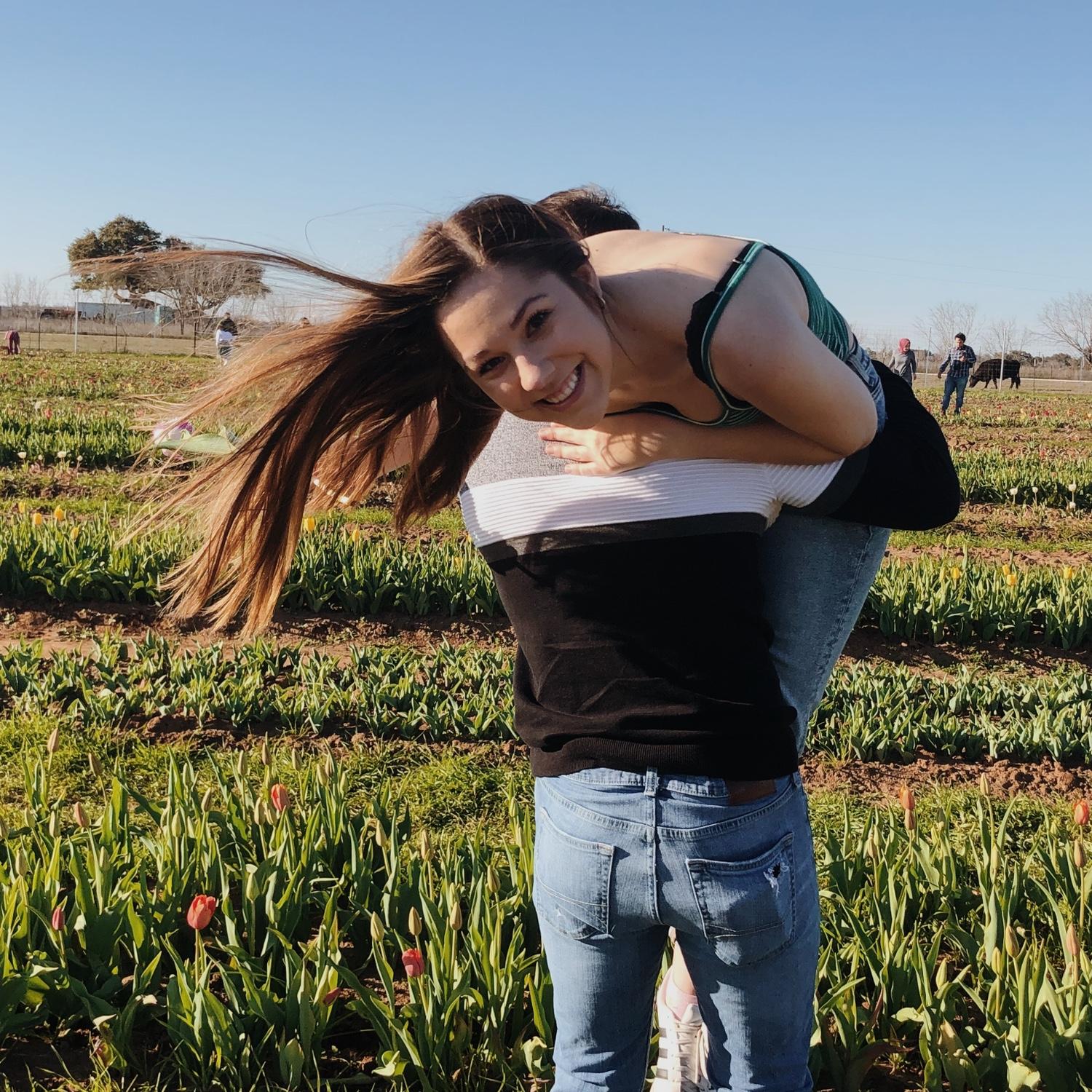Tulip Fields - 2020