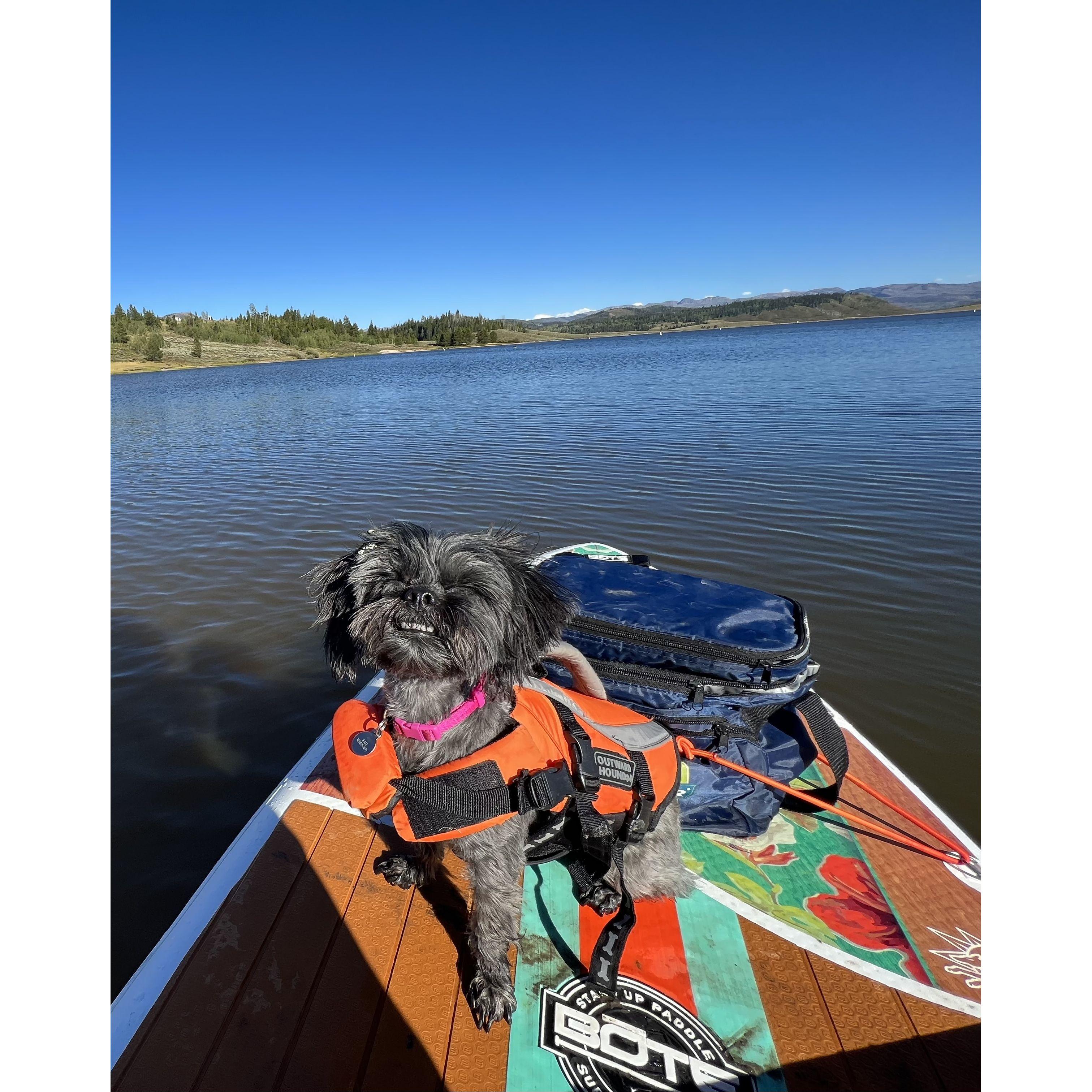 Who loves paddle boarding at Steamboat?! Kali Mae does!