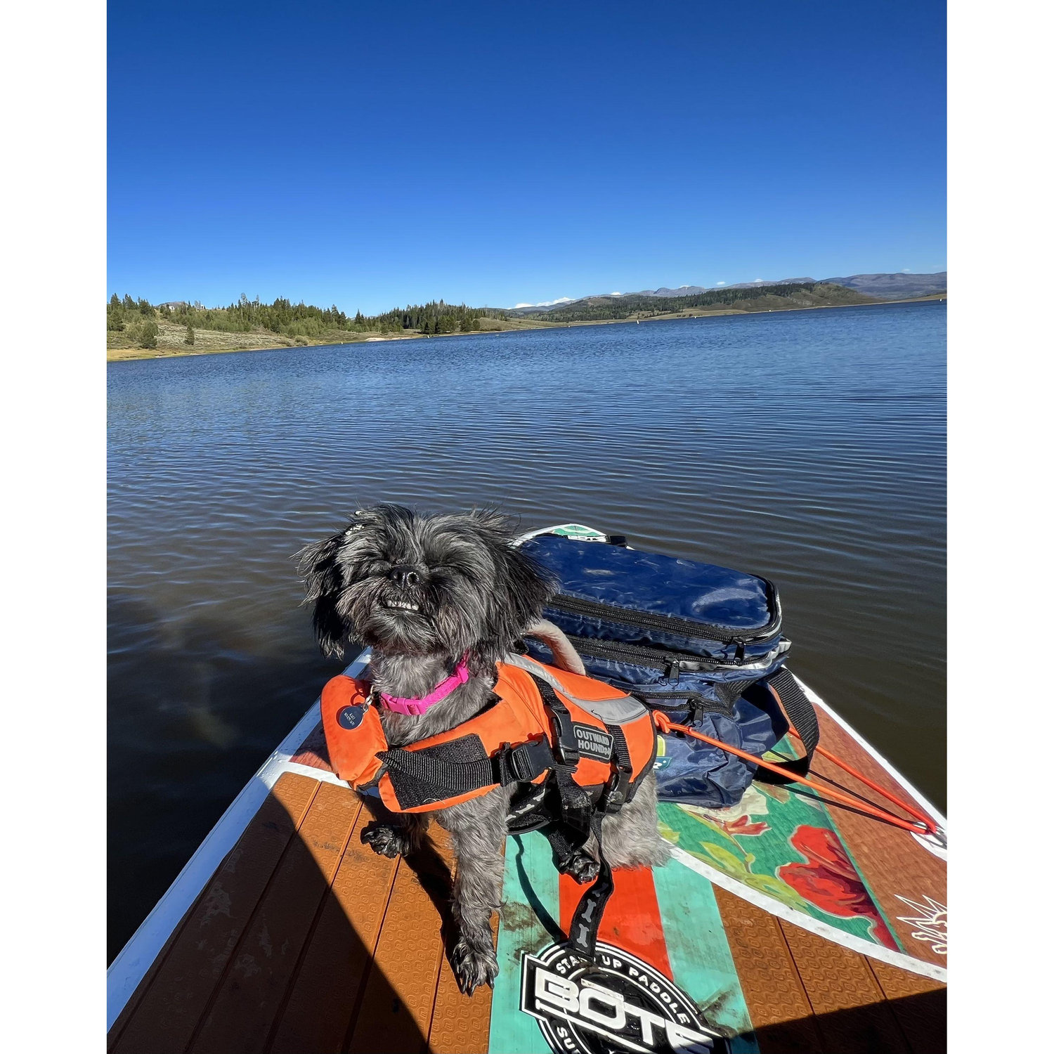 Who loves paddle boarding at Steamboat?! Kali Mae does!