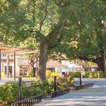 Moore Square