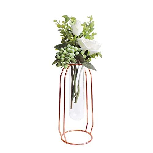 FSyueyun Desktop Glass Vase with Metal Frame，Modern Creative Hydroponics Vase Metal Flower Planter Terrariums Plant Glass-Rose Gold (9.4Inch)