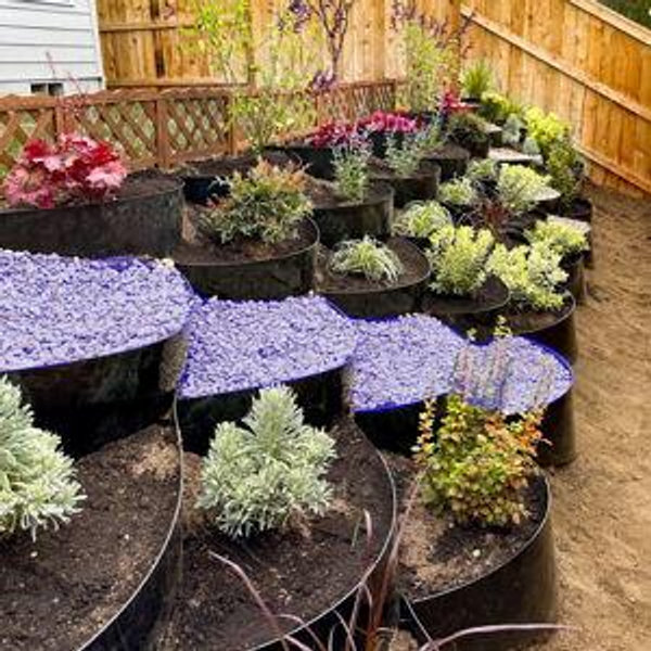 Backyard Fund (Venmo - No fees) (Contribute any amount)
