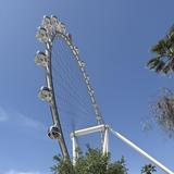 High Roller