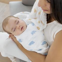 Aden + Anais Organic Assorted Swaddle, Set of 4