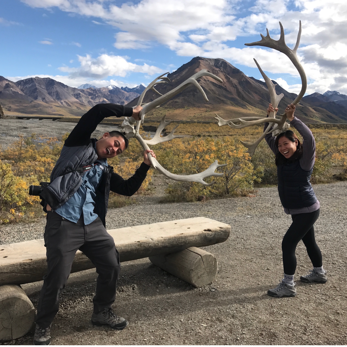 Denali National Park, Alaska