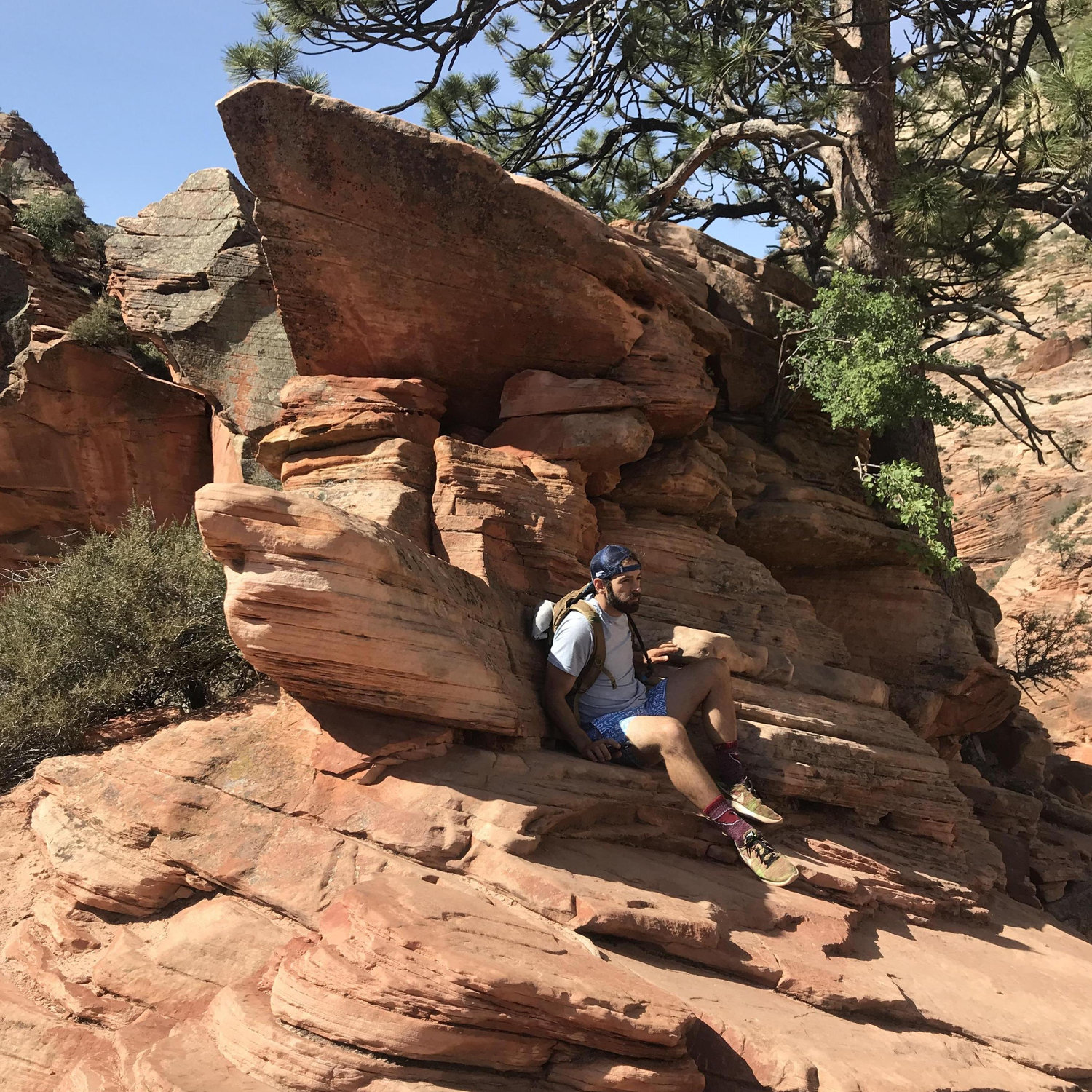 Zion is a magical place.
