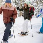 Snowshoe