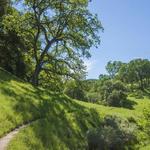 Castle Rock Regional Recreation Area